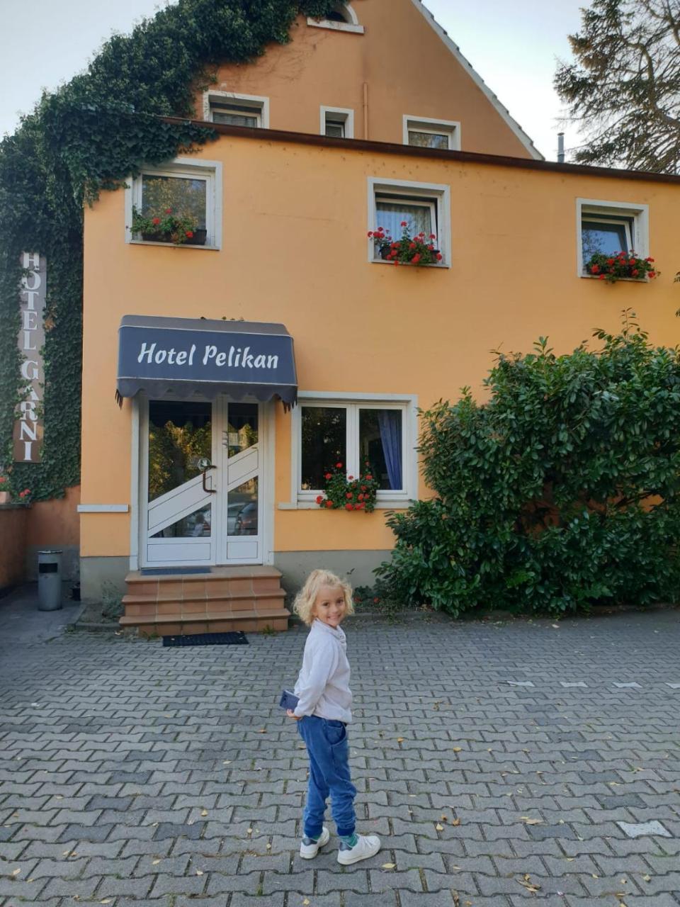 Hotel Pelikan Китцинген Экстерьер фото